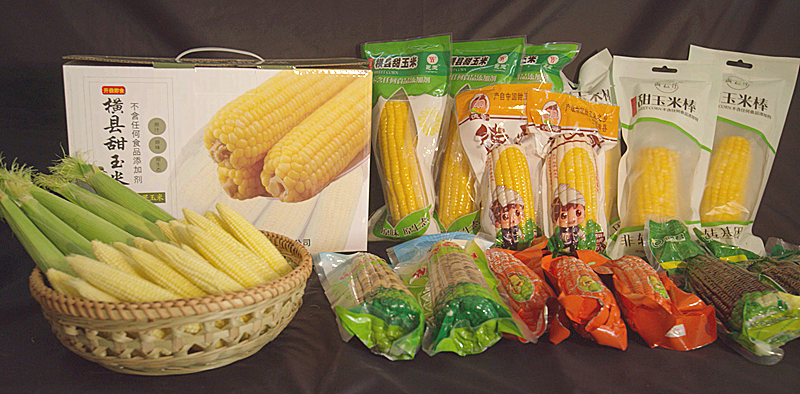 特色產品|橫縣甜玉米憑什么獲得農產品地理標志登記證書?